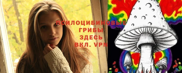 ешки Надым