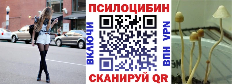 Псилоцибиновые грибы прущие грибы  ОМГ ОМГ ссылки  Смоленск  что такое  