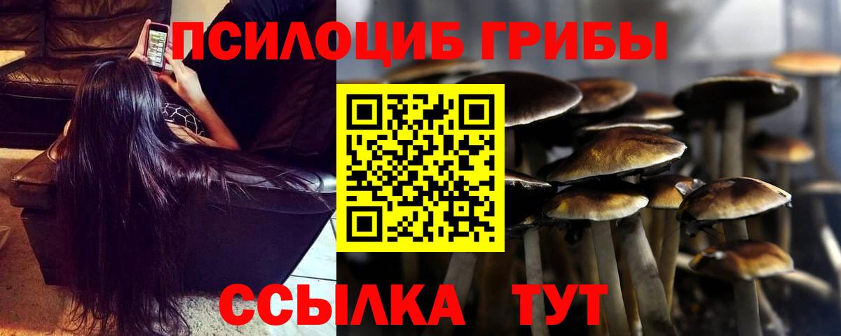 Псилоцибиновые грибы Psilocybine cubensis  Вход с VPN  Смоленск 