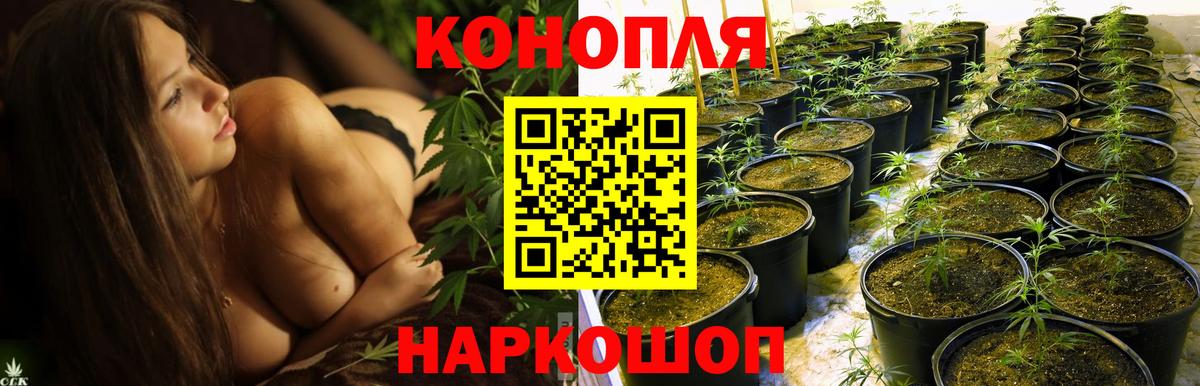 Бошки Шишки индика  Канабис тримм  Смоленск  Вход с VPN  МАРИХУАНА сатива 
